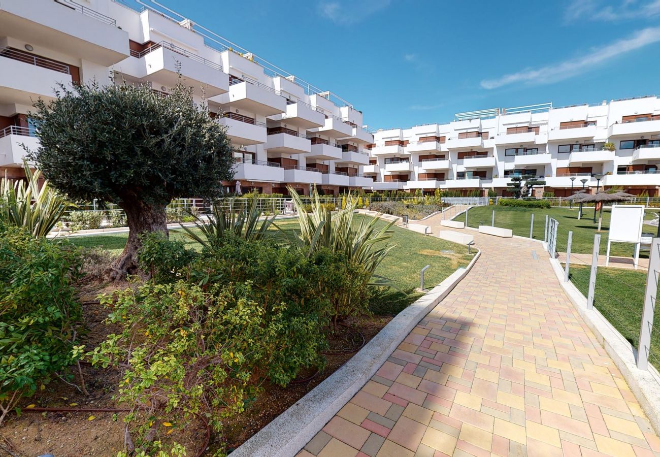 Apartamento en Orihuela Costa - Campoamor Golf 156 Terrazas Villamartin Family Res