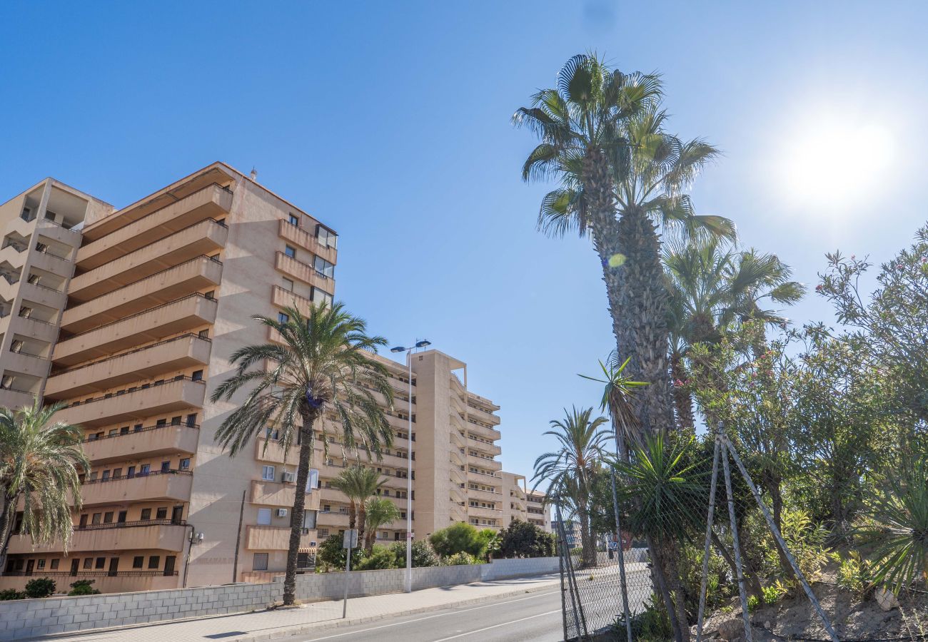 Apartamento en Torrevieja - Los Leandros 3 bed 2 bath