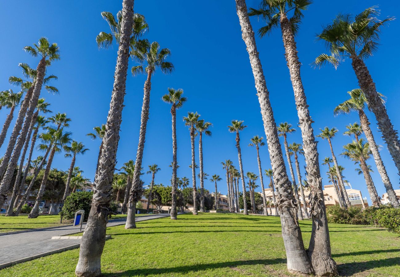 Apartamento en Torrevieja - Los Leandros 3 bed 2 bath