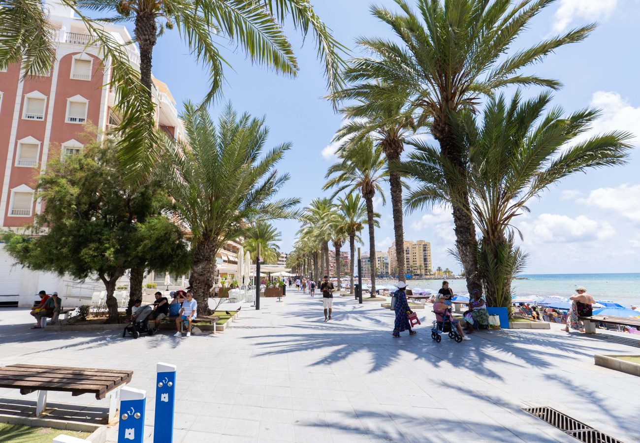 Apartment in Torrevieja - MARIBLANCA 300m To The Beach 2nd Floor Apartment