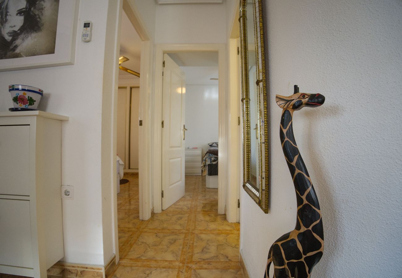 Apartment in Orihuela - Well Located 2 bed with Spacious Solarium